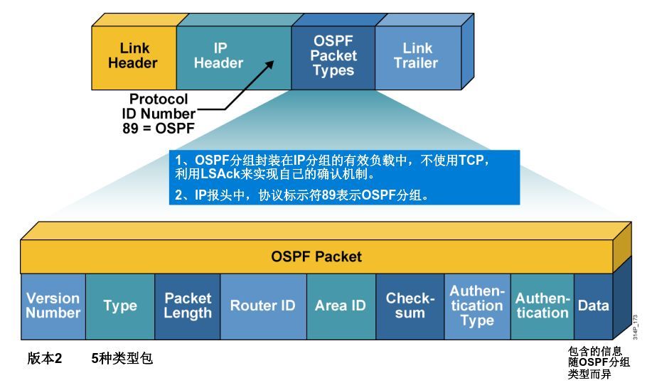 OSPF报文头格式