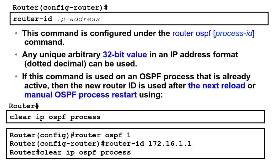 OSPF router-id 命令