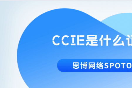 CCIE是什么证书？