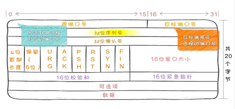 TCP首部