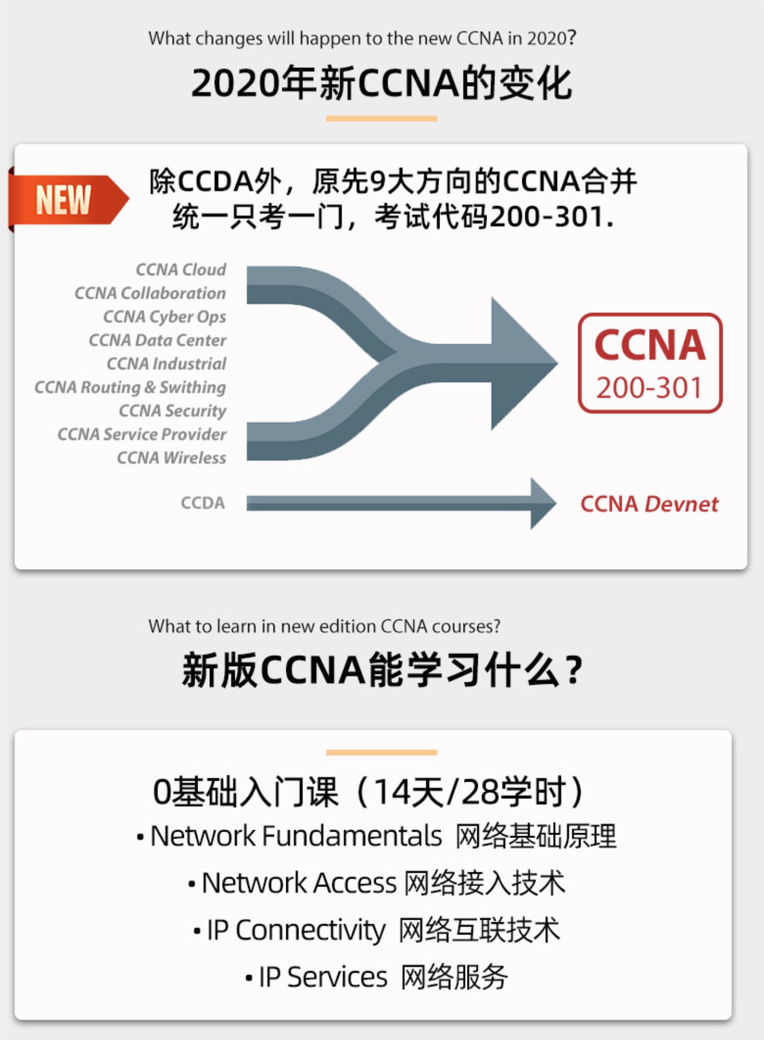 新版CCNA能学习什么