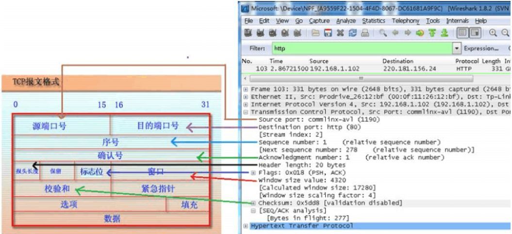 TCP 包的具体内容