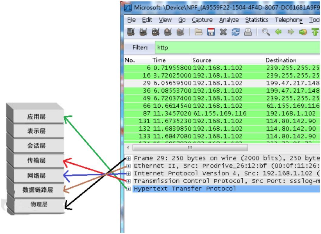 Wireshark 与OSI七层模型