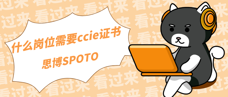 什么岗位需要ccie证书