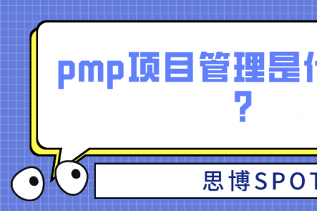 pmp项目管理是什么意思？