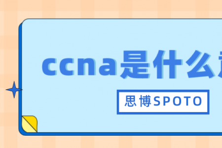 ccna是什么意思？
