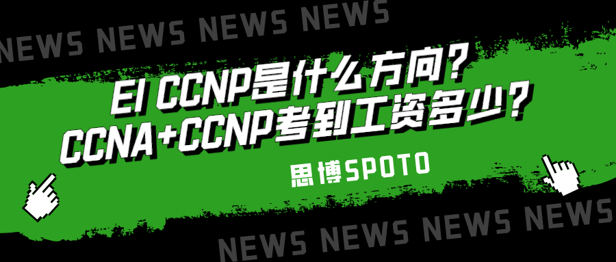 EI CCNP是什么方向