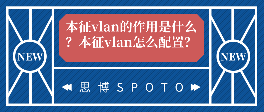 本征vlan的作用是什么？