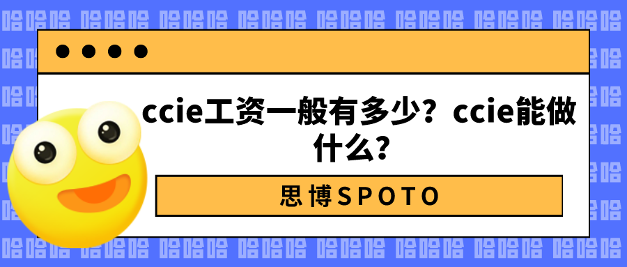 ccie工资一般有多少