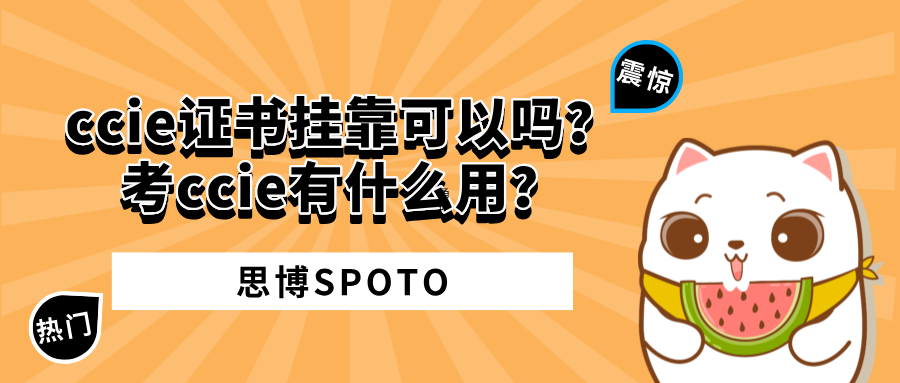 ccie证书挂靠可以吗