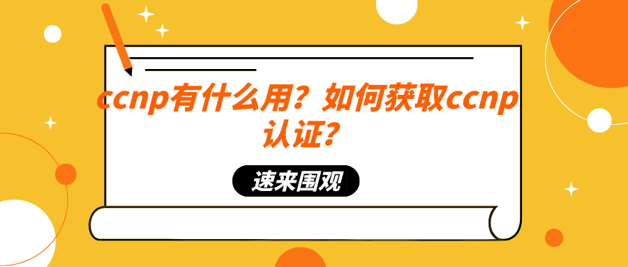 ccnp有什么用