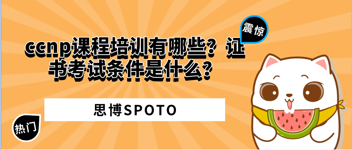 ccnp课程培训有哪些