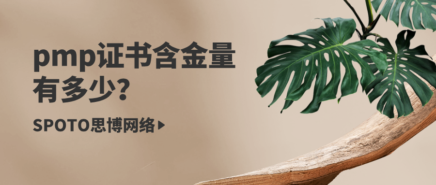 pmp证书含金量有多少？pmp证书的市场需求与未来趋势