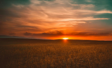 SPOTO学员故事｜努力不会被辜负：一位学员的安全HCIE通关心路