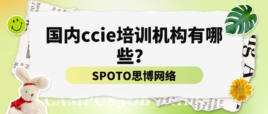 国内ccie培训机构有哪些？思博网络：专业IT认证培训领航者