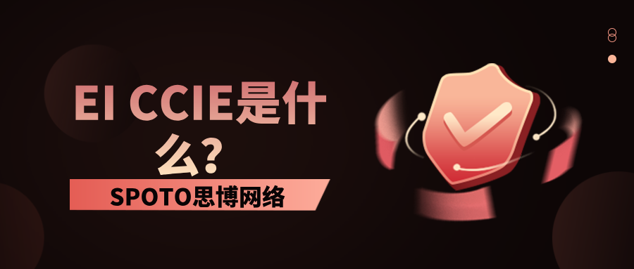 EI CCIE是什么？