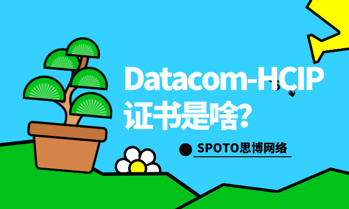 Datacom-HCIP证书是啥