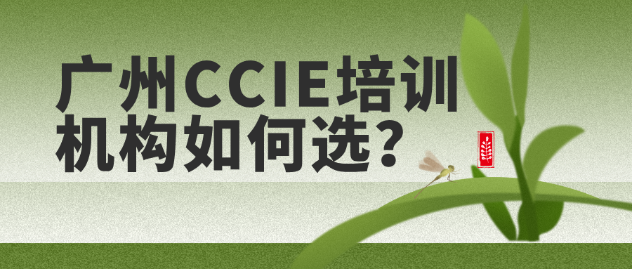 广州CCIE培训机构如何选