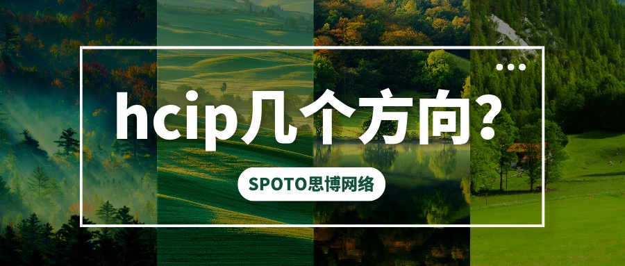 hcip几个方向