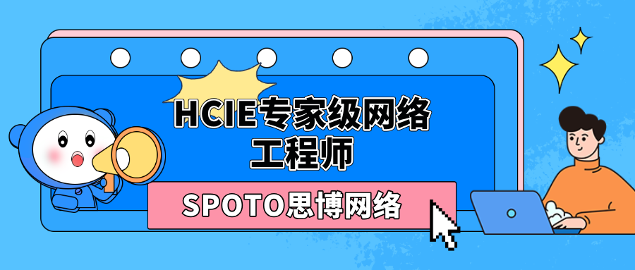 HCIE专家级网络工程师
