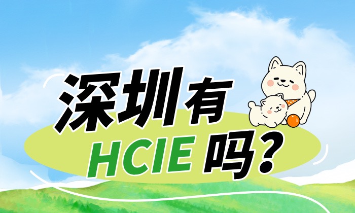 深圳有HCIE吗