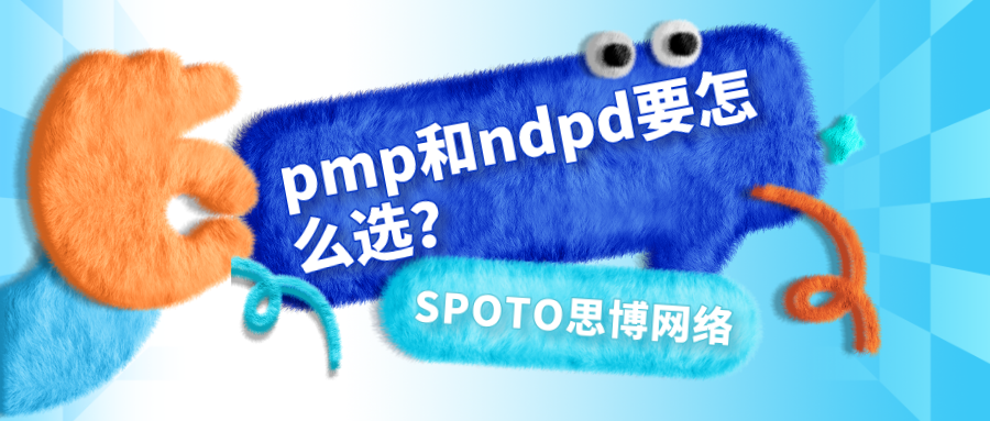 pmp和ndpd要怎么选