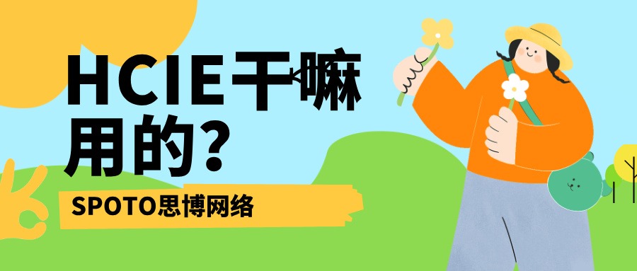 HCIE干嘛用的