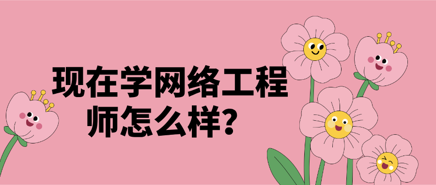 现在学网络工程师怎么样？从思科认证与华为认证看真实发展路径