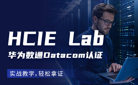 HCIE DATACOM LAB 华为数通专家实验课程