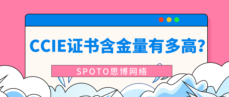 CCIE证书含金量有多高?2026年从大厂与外企生态看思科认证真实价值