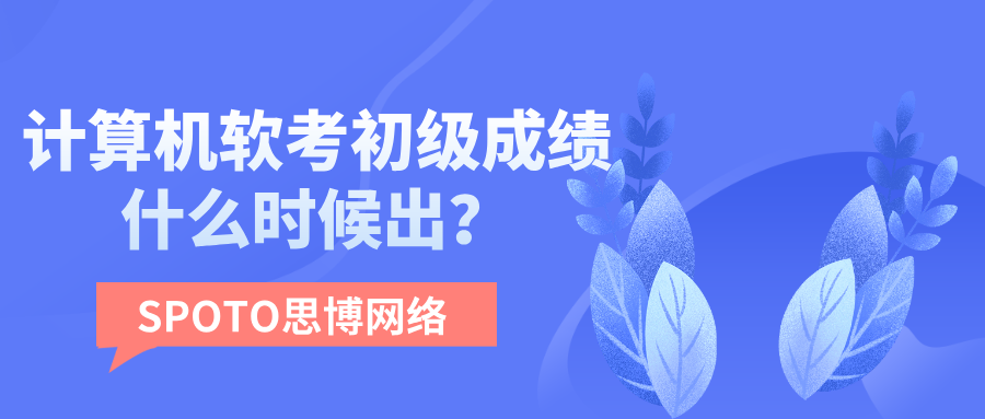 计算机软考初级成绩什么时候出？查询入口、合格标准及复查指南