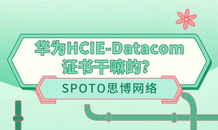华为HCIE-Datacom证书干嘛的