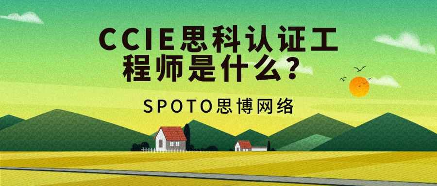 CCIE思科认证工程师是什么
