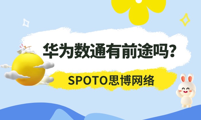 华为数通有前途吗