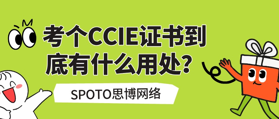 考个CCIE证书到底有什么用处