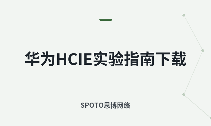 华为 HCIE 实验指南下载
